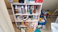 Shelf with various bottles of cleaning products, laundry detergent, tissue boxes and paper towels, two steam irons on middle shelf.