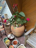 Overview of large terra cotta planter with live plants, showing side angle including chair and other pots nearby.