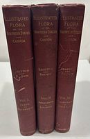 Photo of the spines of the three volumes showing gilt titles and volume numbers