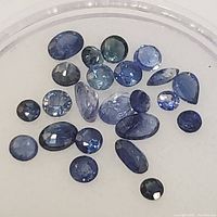 Clear image displaying 22 individual blue sapphire gemstones of various shapes and sizes arranged on a white background.