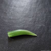 Top view of the curved green jade pendant on a black surface showing smooth texture and polished finish.