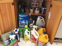 Photo showing opened cabinet with multiple cleaning products such as Lysol, Resolve, Borax, Finish detergents, and yellow plastic jugs arranged on the floor and shelf.