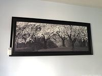 Framed black and white cherry blossom print hanging on a light colored wall, showing full piece and frame.