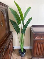 Artificial Bird of Paradise plant approximately 53 inches tall, in a black pot, placed on a hardwood floor between two wooden furniture pieces.