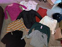 Full view of ten women's shirts laid out on carpet, showing various colors and styles, all new with tags.