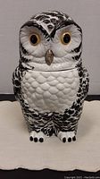 Front view of black and white owl cookie jar, showing detailed texture and facial features.