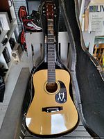 Acoustic guitar placed inside the open case showing front of guitar and pickguard design