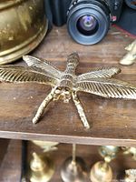 Close-up photo of a brass dragonfly figurine showing detailed wings and body.