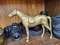 Brass horse figurine positioned on a wooden surface with camera lenses in the background, showing side profile of horse