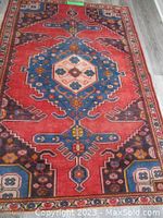 Full view of rug on floor showing overall pattern and border