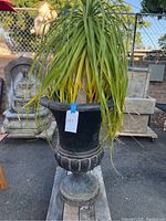 Front view of the artificial elephant palm plant showing long green and yellow leaves in the black plastic pedestal pot.