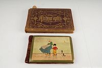 Photo of two antique autograph albums laid flat: one brown embossed leather with gold text, one velvet spine with painted cover illustration
