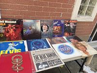Photo of all 13 vinyl album covers laid out on a table outdoors