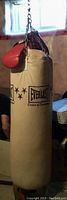 Full view of cream Everlast punching bag hanging from chains with red gloves attached.