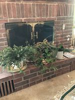 Wide view of four potted living plants on a brick fireplace hearth showing variety and pot types.