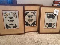 Three framed butterfly pictures standing side by side on a carpeted floor showing all the items in the set