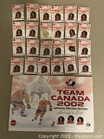 Photo showing 28 official Team Canada 2002 Olympic hockey pins mounted on original cards, arranged in rows above the large 'Team Canada 2002 Official Pin Collection' title card.