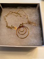 Image showing the necklace in a jewelry box with twisted chain and circular concentric circle charm pendant