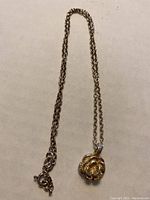 Full view of the 16 inch silver chain necklace with the rose flower pendant visible at the end.