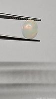 Oval cabochon natural opal held by tweezers showing play-of-color with deep red and orange hues, photographed against neutral background