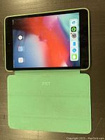 Apple iPad Mini 2 front view powered on, showing home screen with apps and green cover.