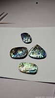 Four polished abalone doublet stones displayed on a white surface showing natural iridescent colors and patterns.