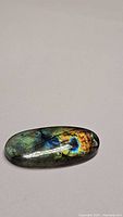 Oval labradorite cabochon showing multicolored high flash iridescence on a plain surface.