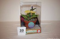 Full view of the item in its original box, showing the terracotta pot, yellow flower, and green leaves inside the clear packaging.