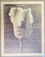 Close-up of the art print showing the white tulip flower with textured petals and muted background.