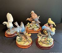 All five porcelain bird figurines on a black surface showing overall appearance and condition.