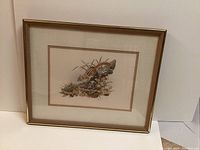 Framed pen and ink drawing of a chipmunk on a branch by artist Christine Wilson. The artwork is double-matted and housed in a gold metal frame under glass.