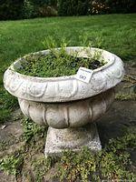 Side image of the Grecian pedestal planter urn showing shape and weathered surface with plants growing inside.