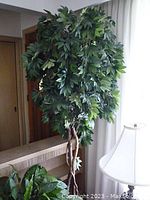 Full view of tall artificial ficus tree showing dense green leaves and intertwined trunk in ceramic pot near a lamp and window.