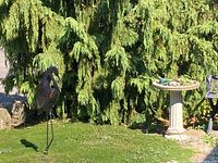 Bird bath sitting outdoors surrounded by greenery, with metal egret figurine standing nearby on grass.
