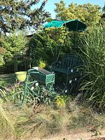 Full view of the green metal tandem bike with canopy situated outdoors surrounded by vegetation.