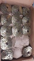Box showing coils of 1 inch zinc chromated roofing nails, almost full with some coils missing.