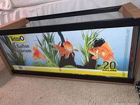 Front view showing Tetra branded 20 gallon aquarium in original box with label and fish graphics