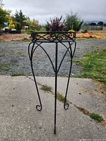 Black metal plant stand with scrollwork design and visible rust spots on the legs and rim.