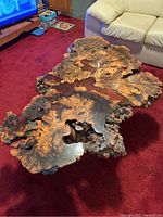 Top view of irregular natural burl slab showing swirling grain, live edge and natural voids