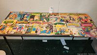 Overhead view of entire collection arranged in two rows on a folding table.