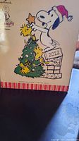 Photo of box front showing printed image of Snoopy in Santa hat placing star on Christmas tree dated 2012.