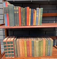 Shelf with top and bottom rows of antique books in varied colorful cloth bindings, showing titles and wear.