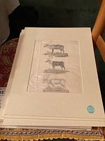 Stack of art mats with colored skeleton and animal sketches, displayed on a patterned fabric surface.