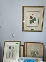 Photo showing several framed floral art prints hanging on a wall and sitting on a floor in front corner, including botanical print with dark red flowers and leaves, and sketches.