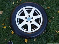 Single Volvo alloy rim with Blizzak tire lying on grass