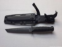 Fixed blade knife next to its black molded sheath with snap strap, showing overall length and full blade and handle