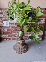 Four green houseplants shown on and around decorative marble top wooden plant stand, close-up showing leaf details and pots.