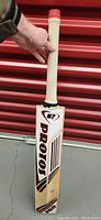 Photo of front face of Protos P500 cricket bat showing branding and condition.