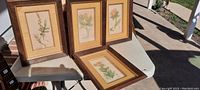 Set of three framed botanical art prints arranged on a white surface, showing their front view and wood frames.