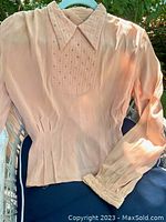 Photo of vintage light pink fitted blouse with rhinestone studs on collar and yoke, displayed on hanger outdoors showing front view with puffed long sleeves and buttoned cuffs.